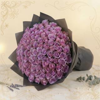 Violet Majesty Roses
