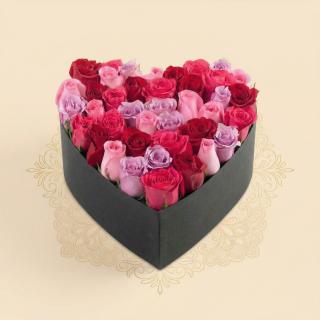 Fifty Shades of Love