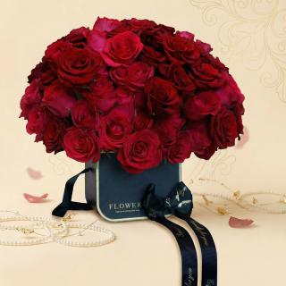 Crimson & Rosé Prestige